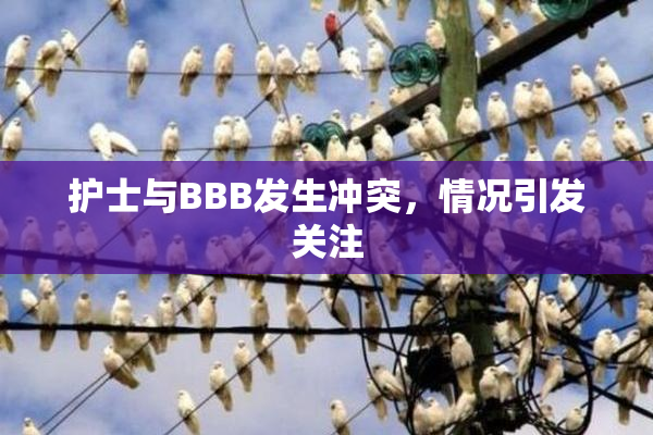 护士与BBB发生冲突，情况引发关注
