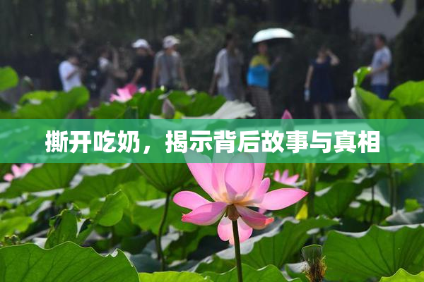 撕开吃奶，揭示背后故事与真相