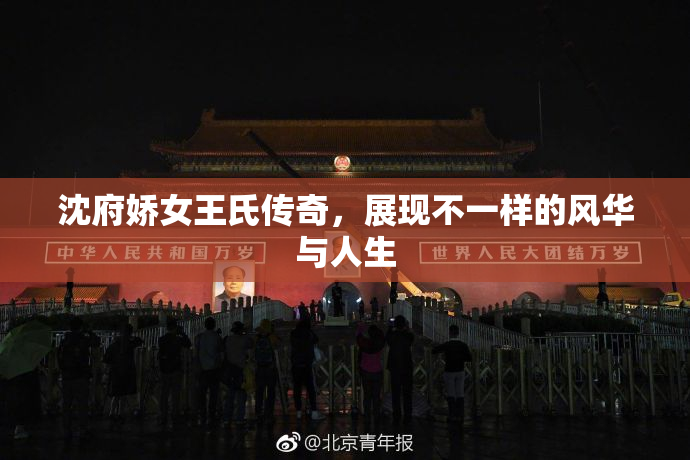 沈府娇女王氏传奇，展现不一样的风华与人生