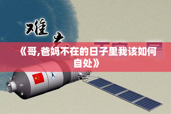 《哥,爸妈不在的日子里我该如何自处》