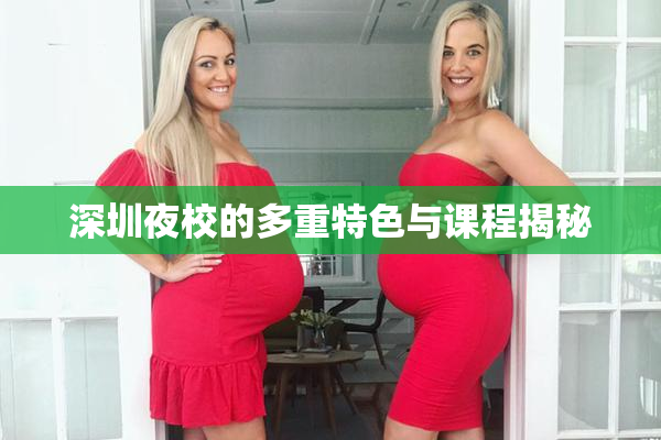 深圳夜校的多重特色与课程揭秘