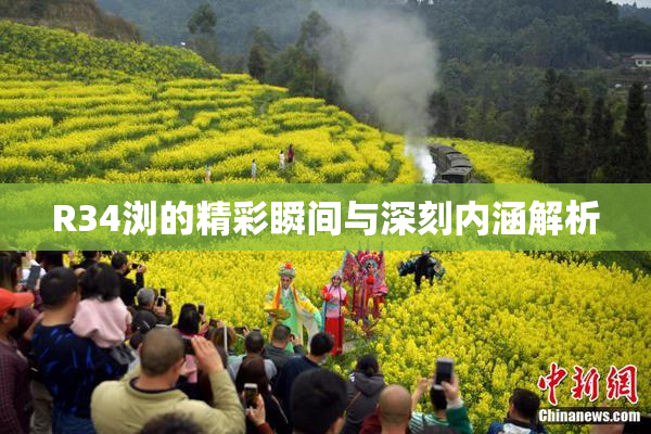 R34浏的精彩瞬间与深刻内涵解析