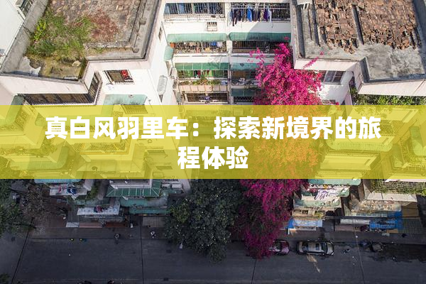 真白风羽里车：探索新境界的旅程体验