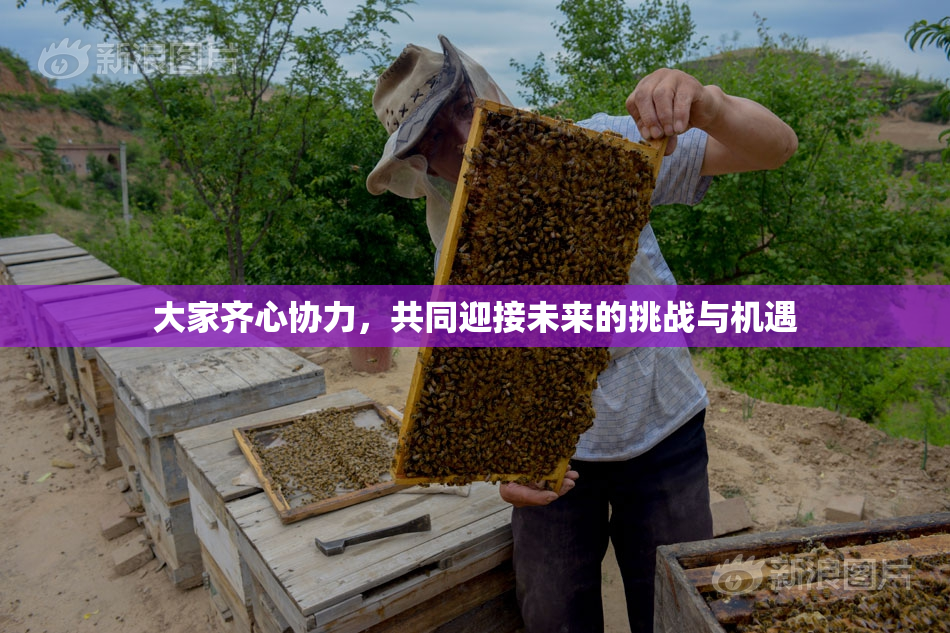 大家齐心协力，共同迎接未来的挑战与机遇