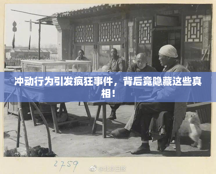 冲动行为引发疯狂事件，背后竟隐藏这些真相！