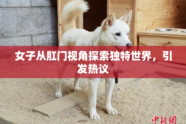 女子从肛门视角探索独特世界，引发热议