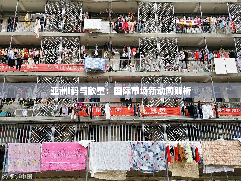 亚洲l码与欧重：国际市场新动向解析