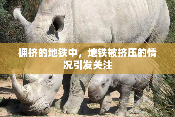 拥挤的地铁中，地铁被挤压的情况引发关注