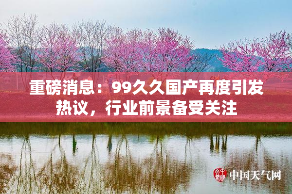 重磅消息：99久久国产再度引发热议，行业前景备受关注