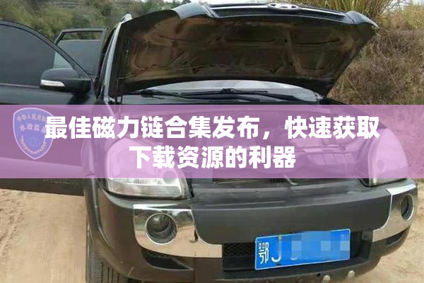 最佳磁力链合集发布，快速获取下载资源的利器