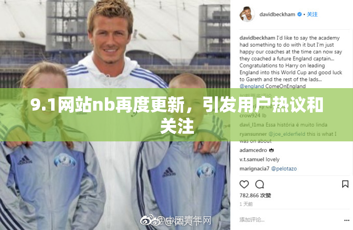 9.1网站nb再度更新，引发用户热议和关注