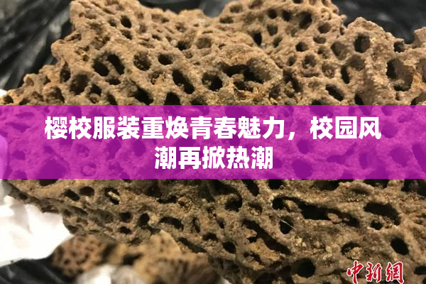樱校服装重焕青春魅力，校园风潮再掀热潮