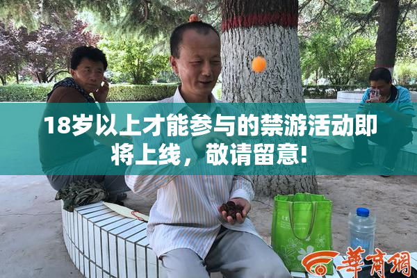 18岁以上才能参与的禁游活动即将上线，敬请留意!