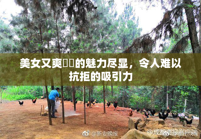 美女又爽❌‌的魅力尽显，令人难以抗拒的吸引力