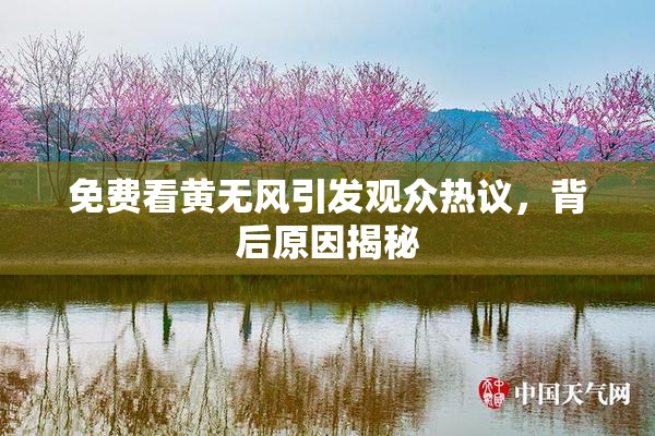免费看黄无风引发观众热议，背后原因揭秘