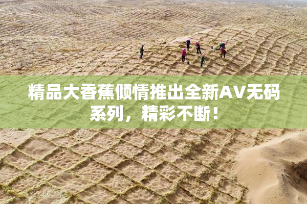 精品大香蕉倾情推出全新AV无码系列，精彩不断！
