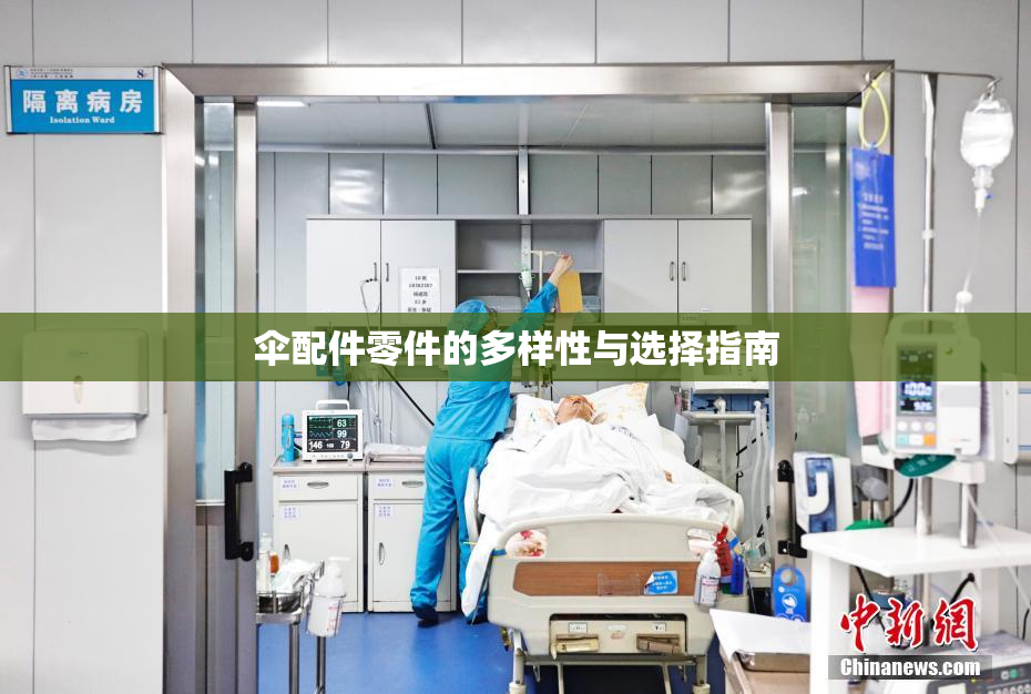 伞配件零件的多样性与选择指南