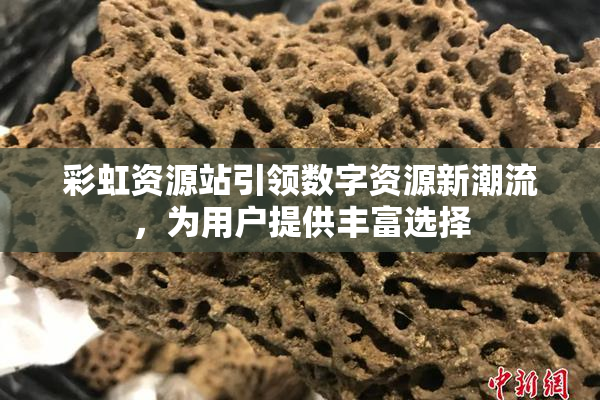 彩虹资源站引领数字资源新潮流，为用户提供丰富选择