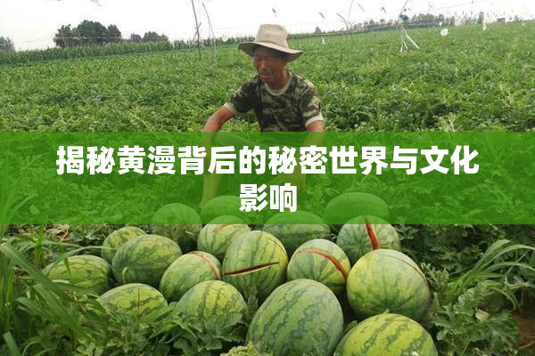 揭秘黄漫背后的秘密世界与文化影响