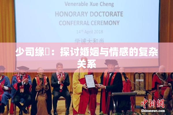 少司缘婬：探讨婚姻与情感的复杂关系