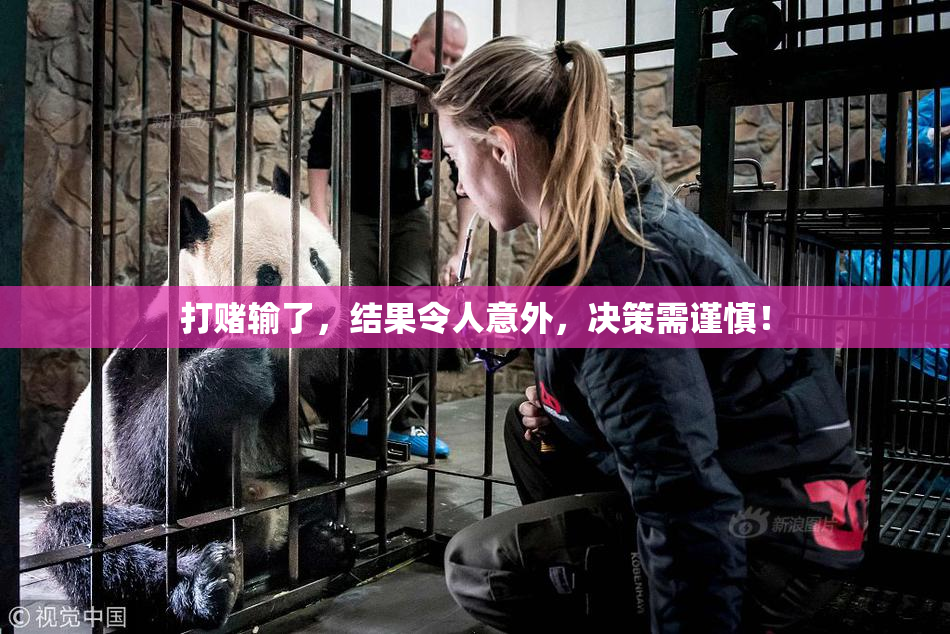 打赌输了，结果令人意外，决策需谨慎！