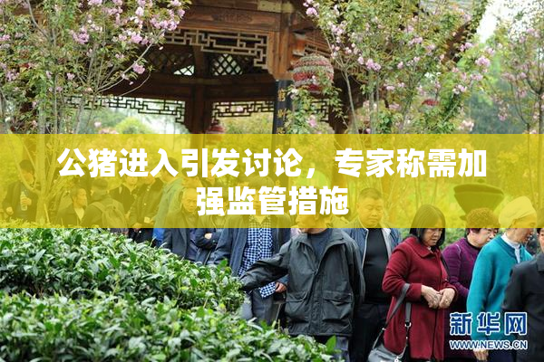 公猪进入引发讨论，专家称需加强监管措施
