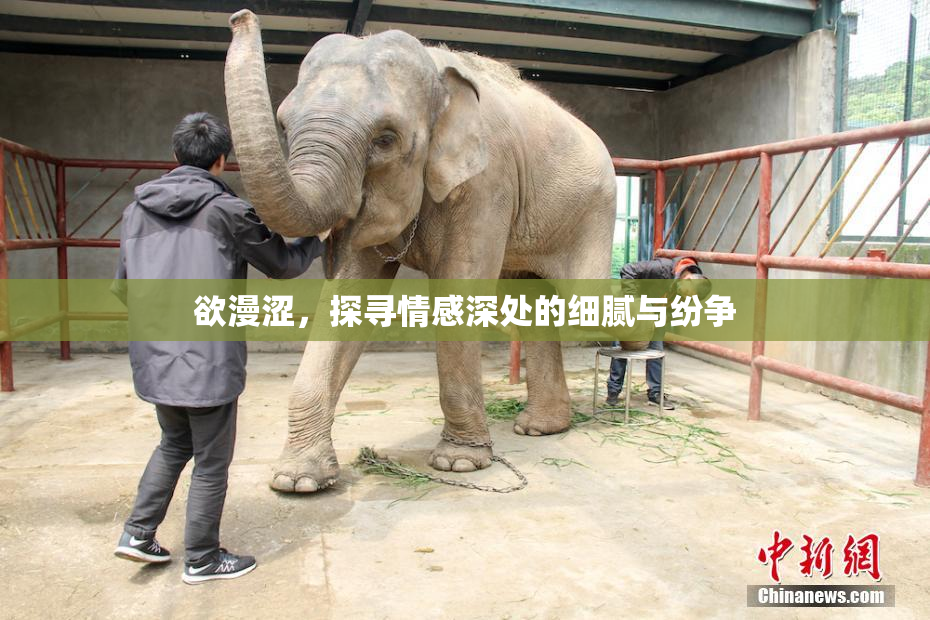 欲漫涩，探寻情感深处的细腻与纷争