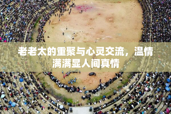 老老太的重聚与心灵交流，温情满满显人间真情