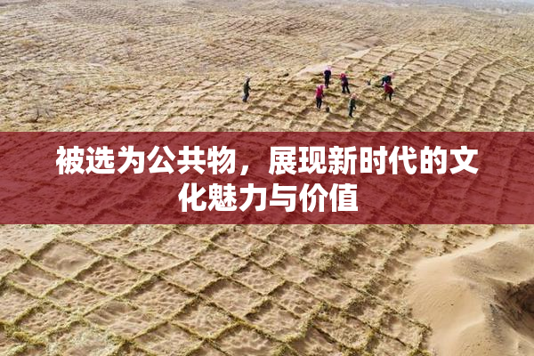 被选为公共物，展现新时代的文化魅力与价值