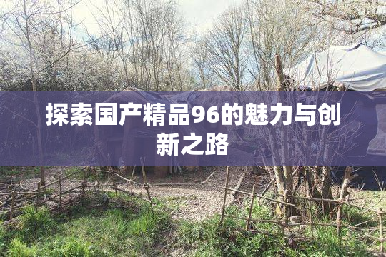 探索国产精品96的魅力与创新之路