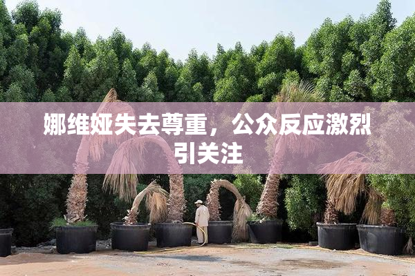 娜维娅失去尊重，公众反应激烈引关注