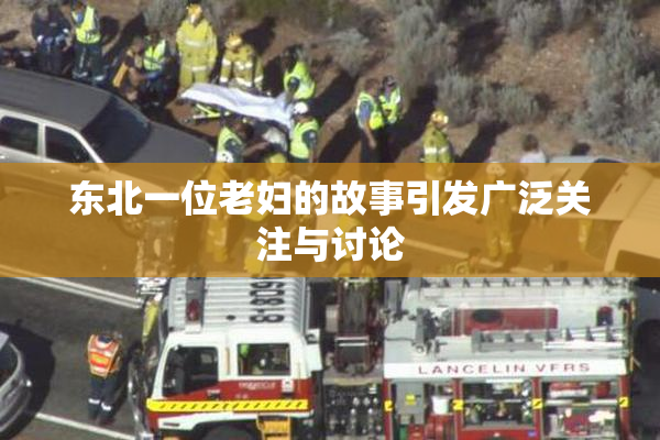 东北一位老妇的故事引发广泛关注与讨论