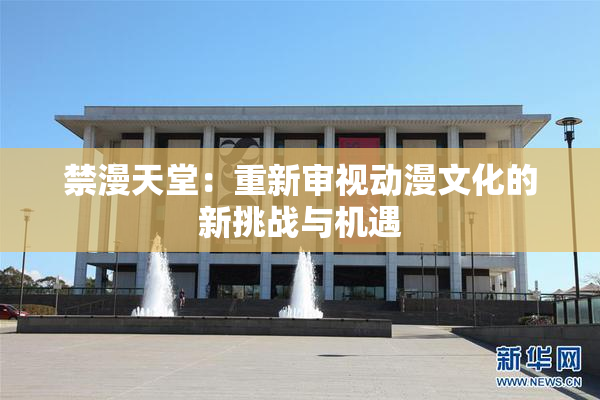 禁漫天堂：重新审视动漫文化的新挑战与机遇