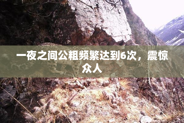 一夜之间公粗频繁达到6次，震惊众人