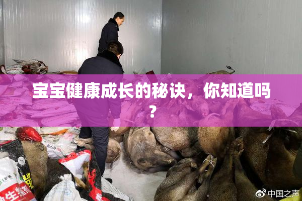 宝宝健康成长的秘诀，你知道吗？