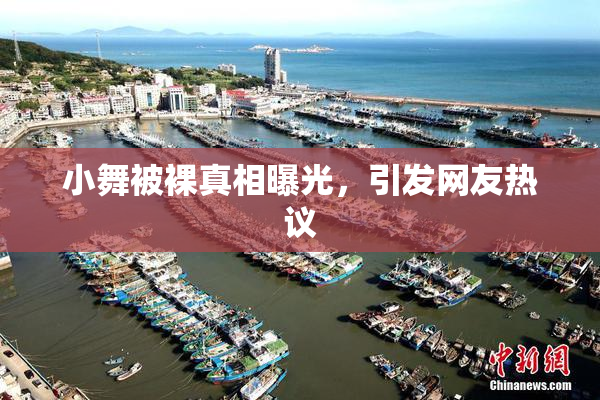 小舞被裸真相曝光，引发网友热议