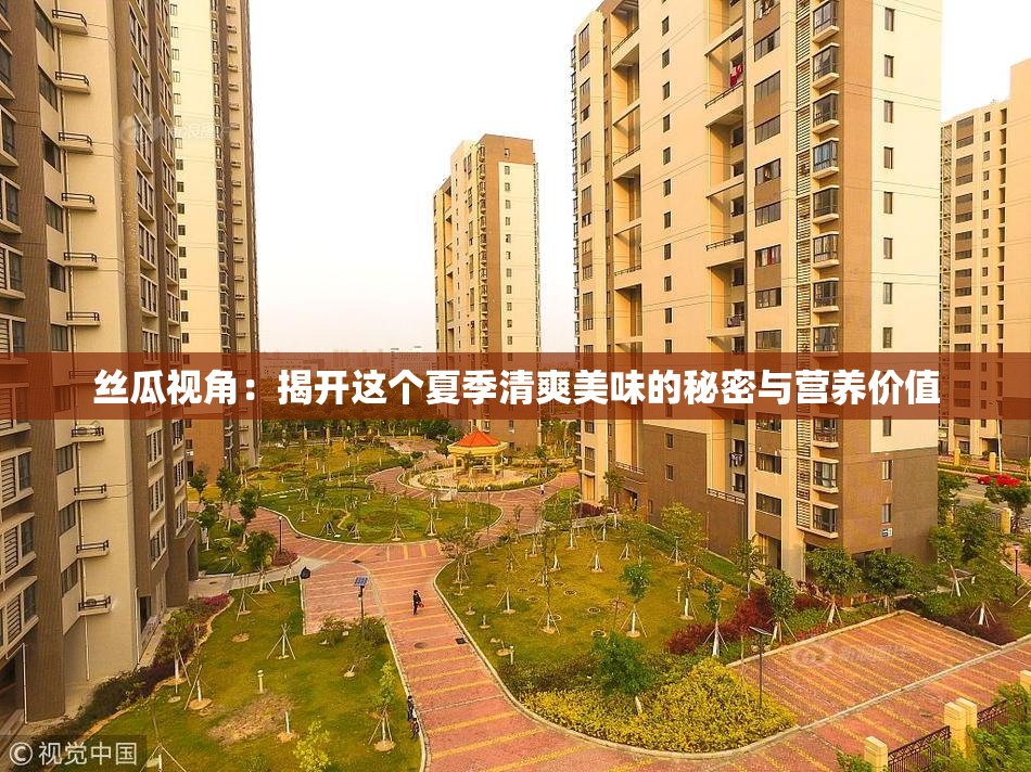 丝瓜视角：揭开这个夏季清爽美味的秘密与营养价值