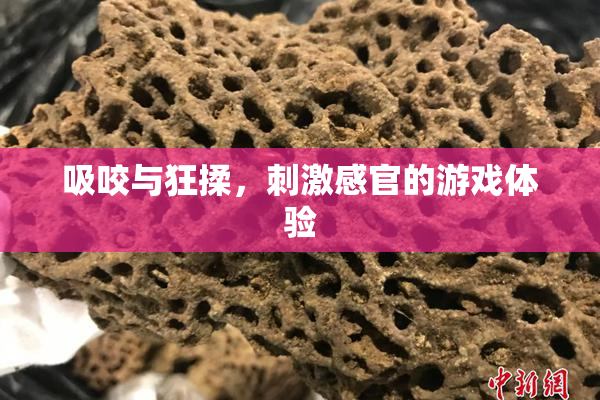 吸咬与狂揉，刺激感官的游戏体验