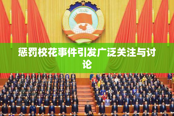 惩罚校花事件引发广泛关注与讨论