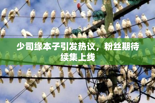 少司缘本子引发热议，粉丝期待续集上线