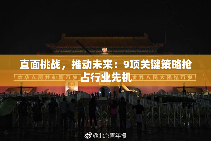 直面挑战，推动未来：9项关键策略抢占行业先机