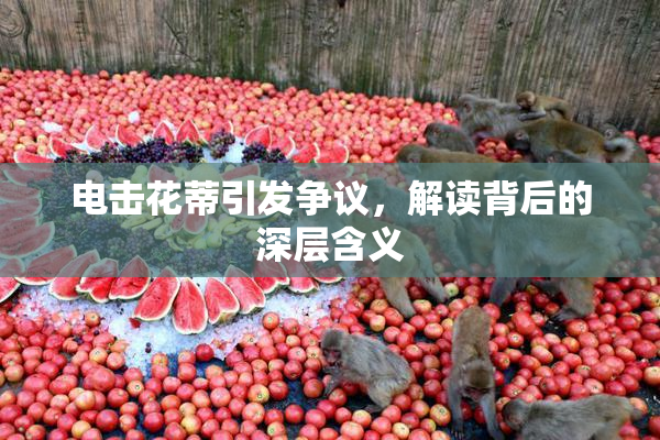 电击花蒂引发争议，解读背后的深层含义