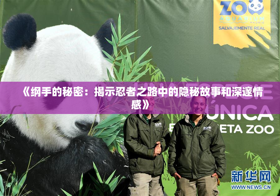 《纲手的秘密：揭示忍者之路中的隐秘故事和深邃情感》