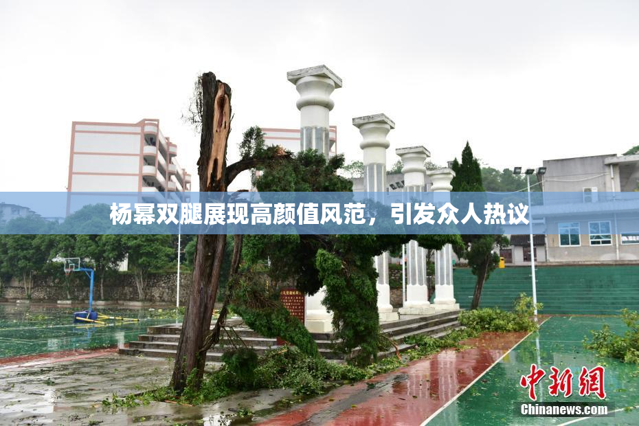 杨幂双腿展现高颜值风范，引发众人热议