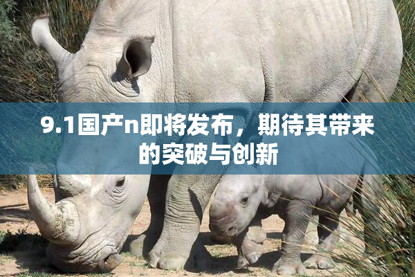 9.1国产n即将发布，期待其带来的突破与创新