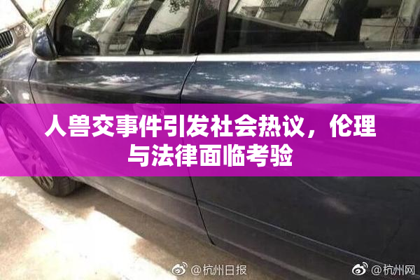 人兽交事件引发社会热议，伦理与法律面临考验