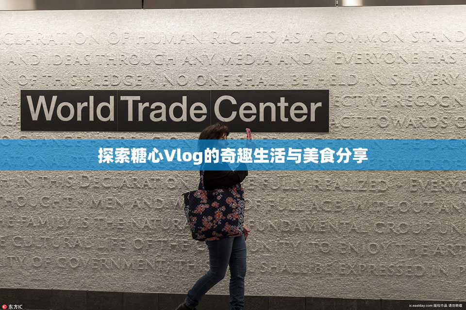 探索糖心Vlog的奇趣生活与美食分享