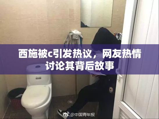 西施被c引发热议，网友热情讨论其背后故事