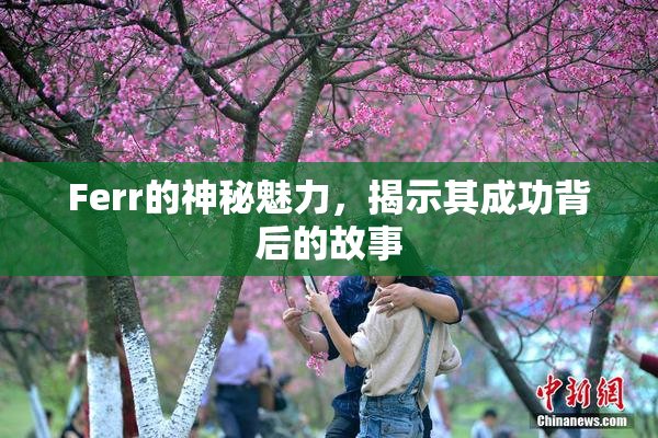 Ferr的神秘魅力，揭示其成功背后的故事