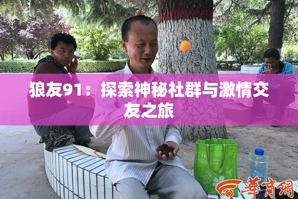 狼友91：探索神秘社群与激情交友之旅